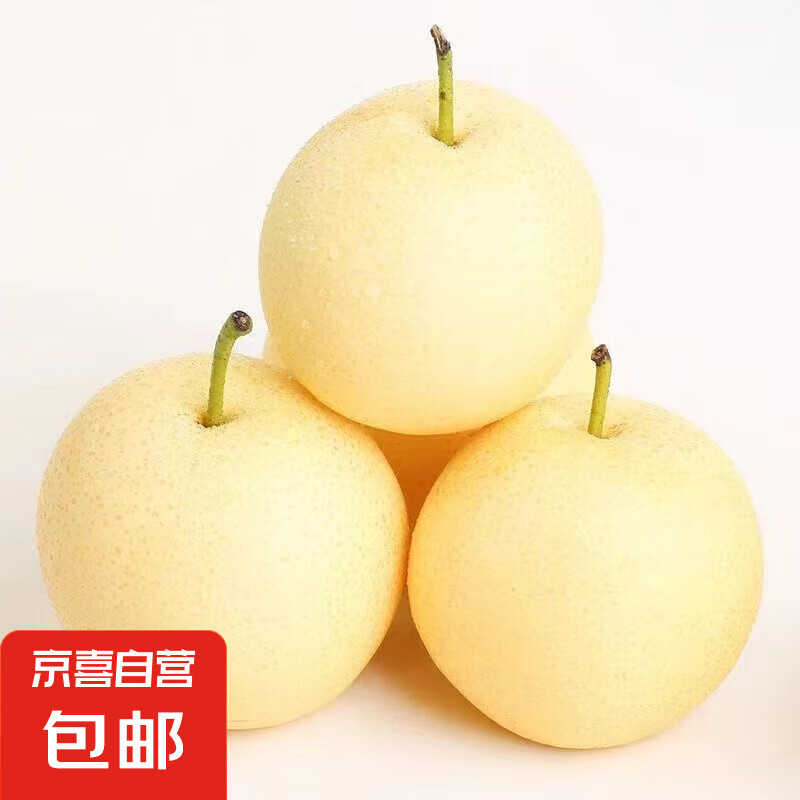 正宗河北皇冠梨 产地直发 现摘现发 脆甜多汁梨子整箱新鲜水果 皇冠梨净重8.5斤