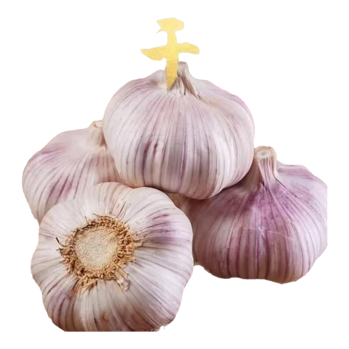 金乡新干蒜新鲜品质生鲜蔬菜调味料金乡农家自种大蒜小果3.5-4.5 新鲜干蒜净重0.8斤