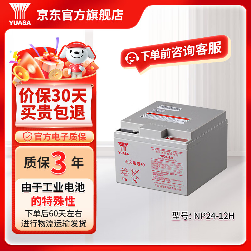 汤浅YUASA铅酸免维护蓄电池 NP系列 12V UPS电源专用门禁用报警主 NP24-12H