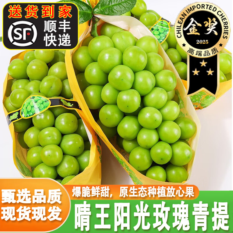 橙小士【順豐快遞】陽光玫瑰青提晴王葡萄香印無籽青脆提新鮮水果禮盒 3斤一級串裝