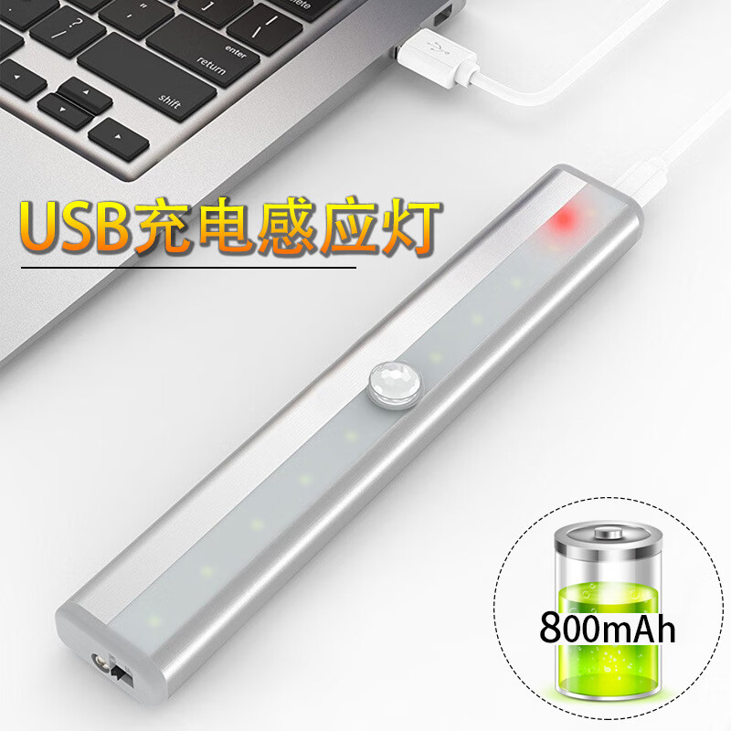 智特（ZT）智能感應夜燈10LEDusb充電櫥柜衣柜壁櫥燈 正白 1W