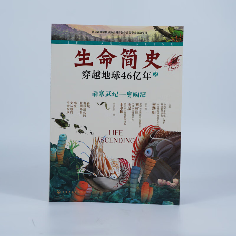 生命简史 穿越地球46亿年 4册 远古生物 入围2025中国好书 儿童中小学生青少年历史科普读物宇宙起源地球形成生命诞生史前世界探索