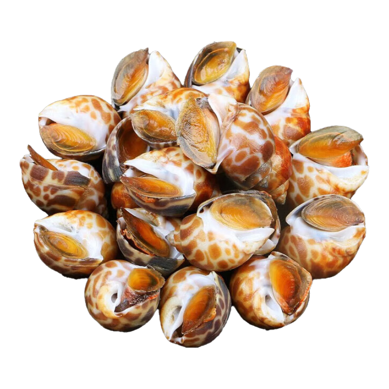 ���ڲ���������ɭ ���������䶳������С��������������������ˮ�� ����2���ţ��� 1000g 42.55Ԫ