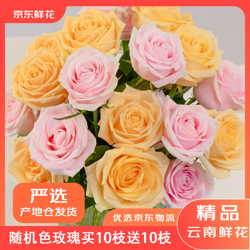 京东鲜花昆明基地玫瑰花买10枝送10枝