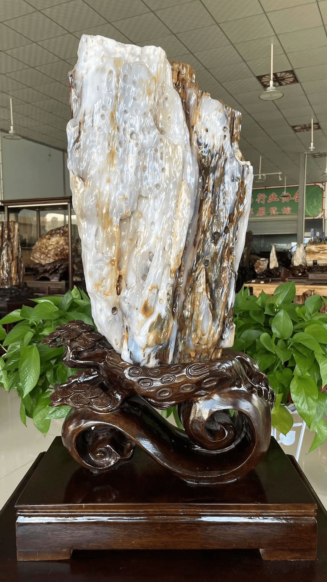 原石天然硅化木奇石摆件收藏木化石客厅装饰摆件 树化玉连底座总高77