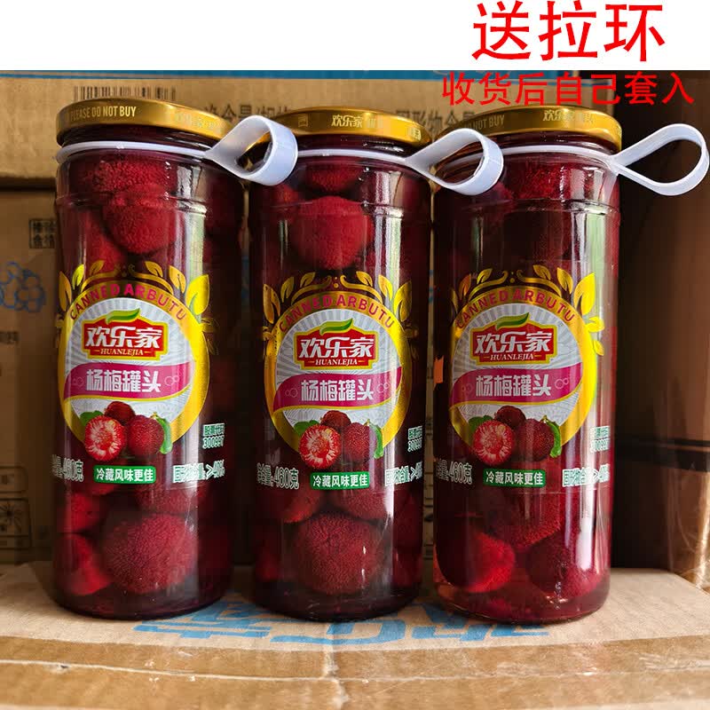 欢乐家杨梅罐头460g*3瓶罐新鲜糖水烘焙原料杨梅罐头水果整箱 460g