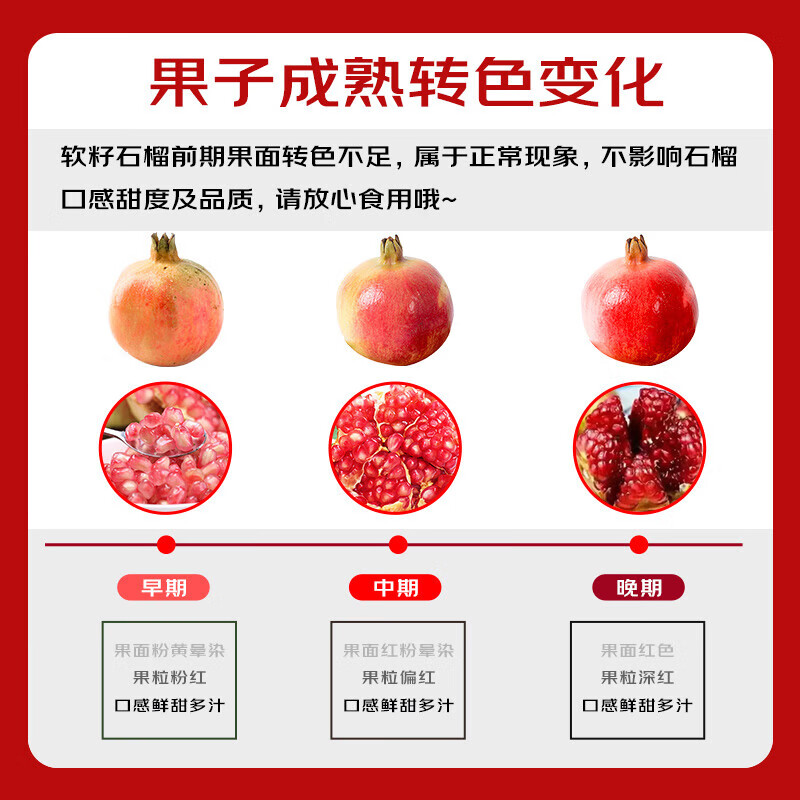 庾丰 四川会理突尼斯软籽石榴 新鲜水果整箱生鲜 孕妇红石榴团购送礼 净重4.5斤 单果250g+