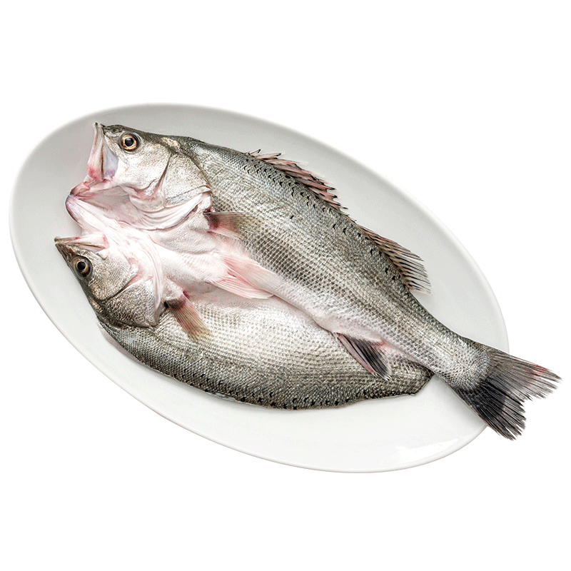 黄小渔三去海鲈鱼2斤/2条 开背鲈鱼 生鲜 鱼类 海鲜水产烧烤食材