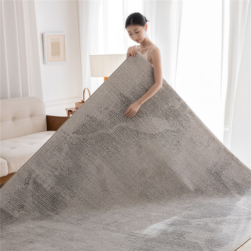 致尚美学新款地毯客厅降噪防猫抓零甲醛好打理北欧奶油风茶几毯卧室床边毯 塞力斯01【高档仿羊毛混纺材质】 2m*2.9m 加厚加密【2.6-3米沙发推荐】