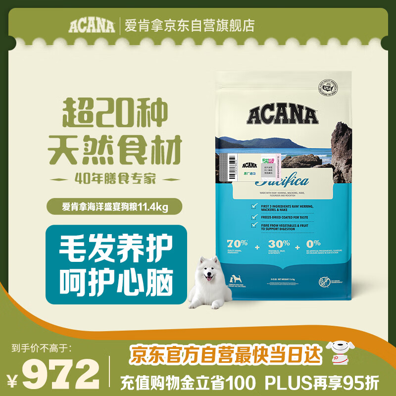 �ۿ��� ��Ȯ��Ȯ���� 11.4kg