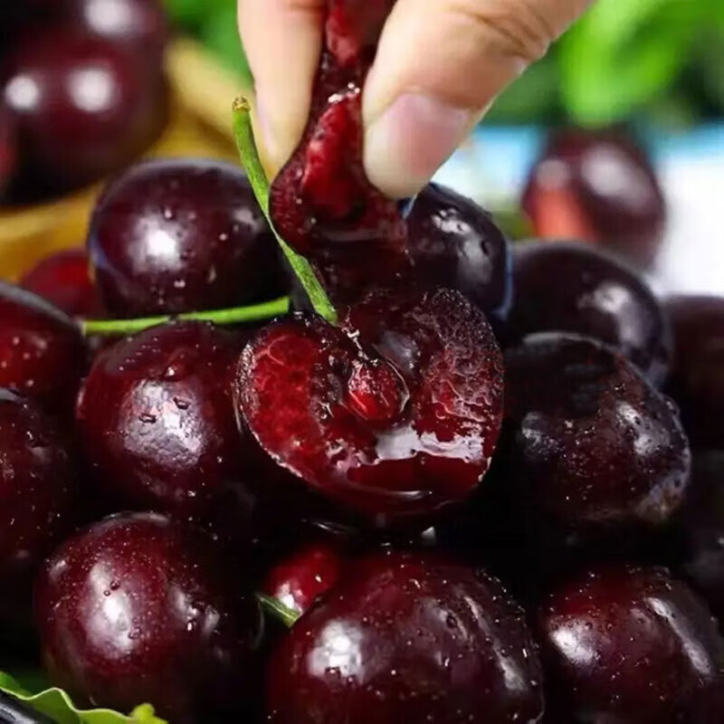 �ٽ��ۣ������� ����������ӣ�� 4J�� 5�� 32-34mm ����ˮ�������� ��������