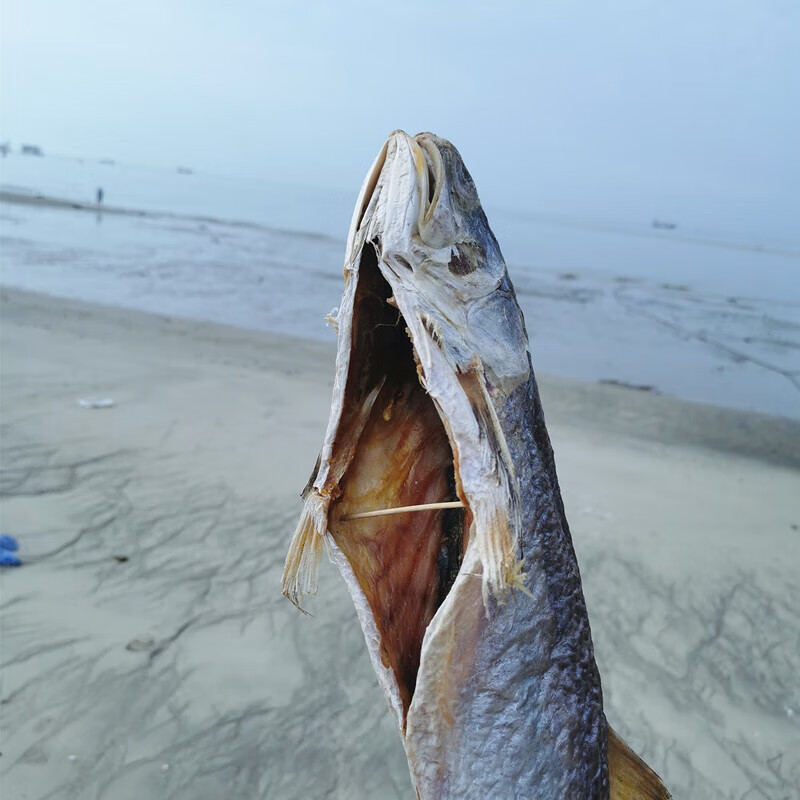 乐佳萱自晒整条深海大马友鱼干去内脏大海鱼咸鱼干北海特产海鲜干货 2