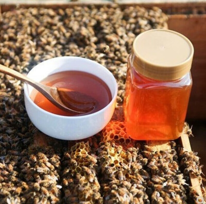 大量吃蜂蜜会胖吗(大量吃蜂蜜会胖吗还是减肥)