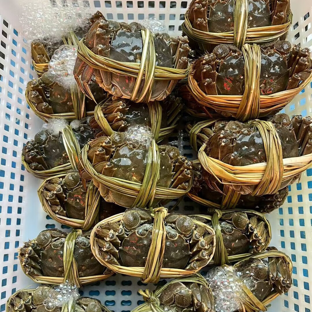 【活蟹】江苏固城湖螃蟹鲜活大闸蟹礼盒中秋送礼产地直发JD/顺丰 【推荐款】全母盛宴2.5两｜4对 8只 礼盒