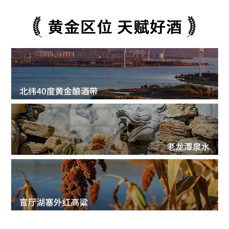 沙城老窖金标浓香型白酒纯粮酿造固态发酵【中国酒王食品博览会金奖】送礼 42度 460mL 6瓶