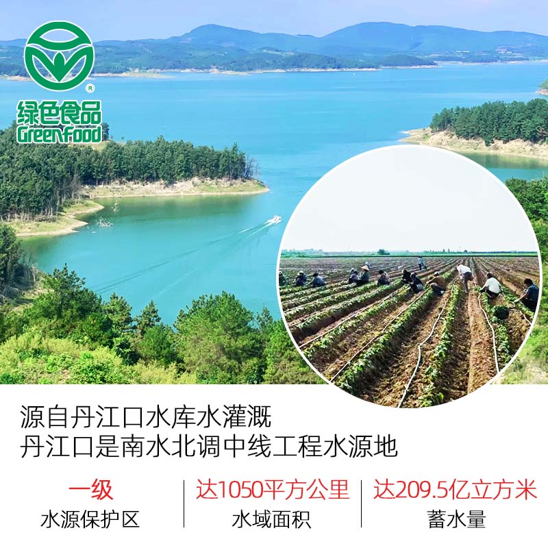 渠首红西瓜红蜜薯红心绿色食品认证 糖心烤番薯烤红薯同款地瓜软糯香甜 净重5斤 中果精选( 3-8两)