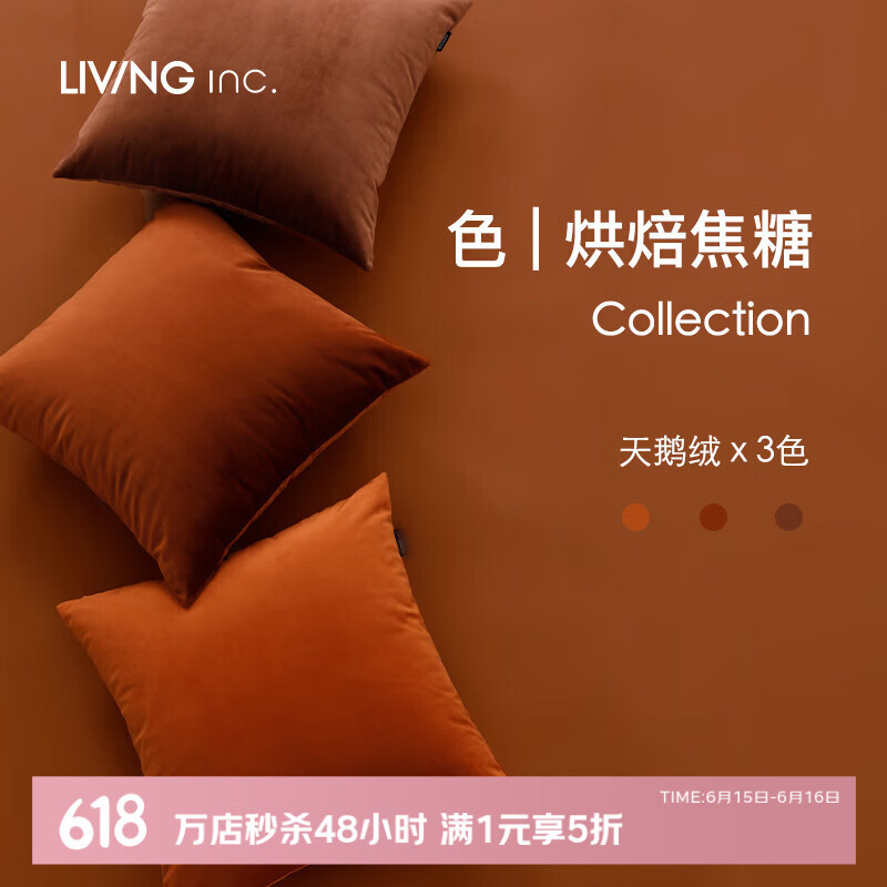LIVING INCɫ ݱɳ칫 ɫ 50x50cm( о)31.45Ԫȯ