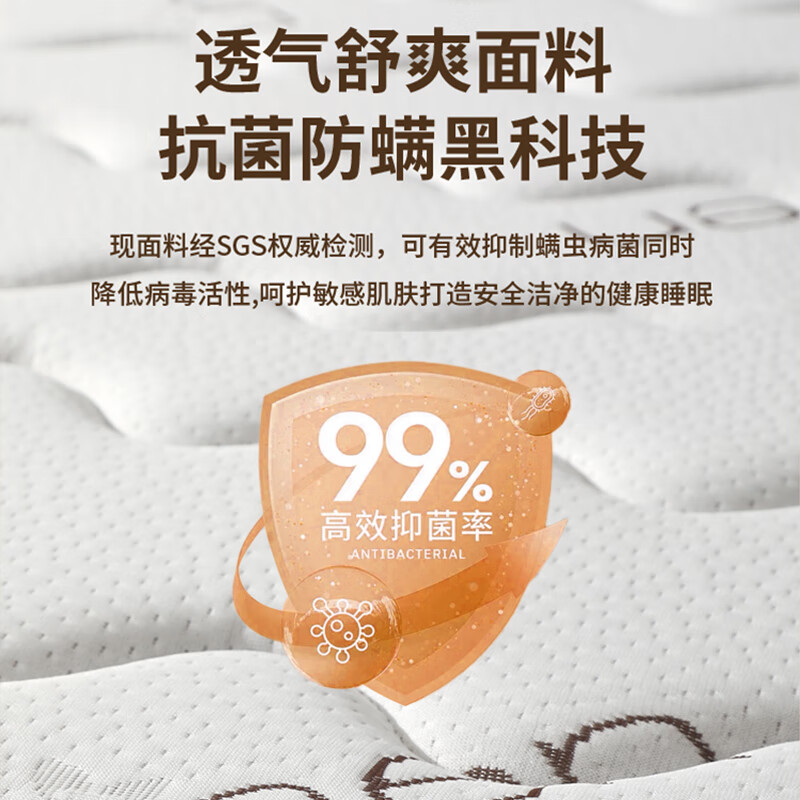 天然椰棕床垫家用偏硬垫子老人儿l童护脊可 高雅灰5cm厚(0胶水3E椰棕)一体 1500mm*1900mm