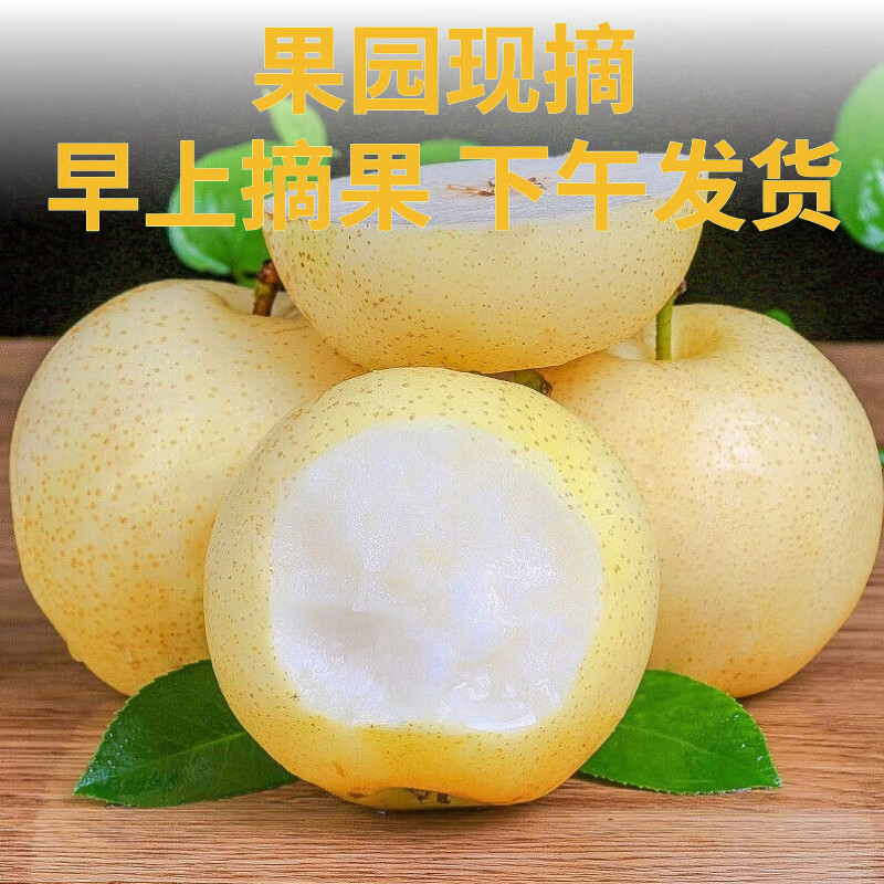 鲜其正宗皇冠梨冰糖雪梨10斤水果整箱批发现摘梨子当季新鲜脆甜多汁 3.5斤【个人尝鲜-较划算】 【优选尝鲜】中果I单果200g+