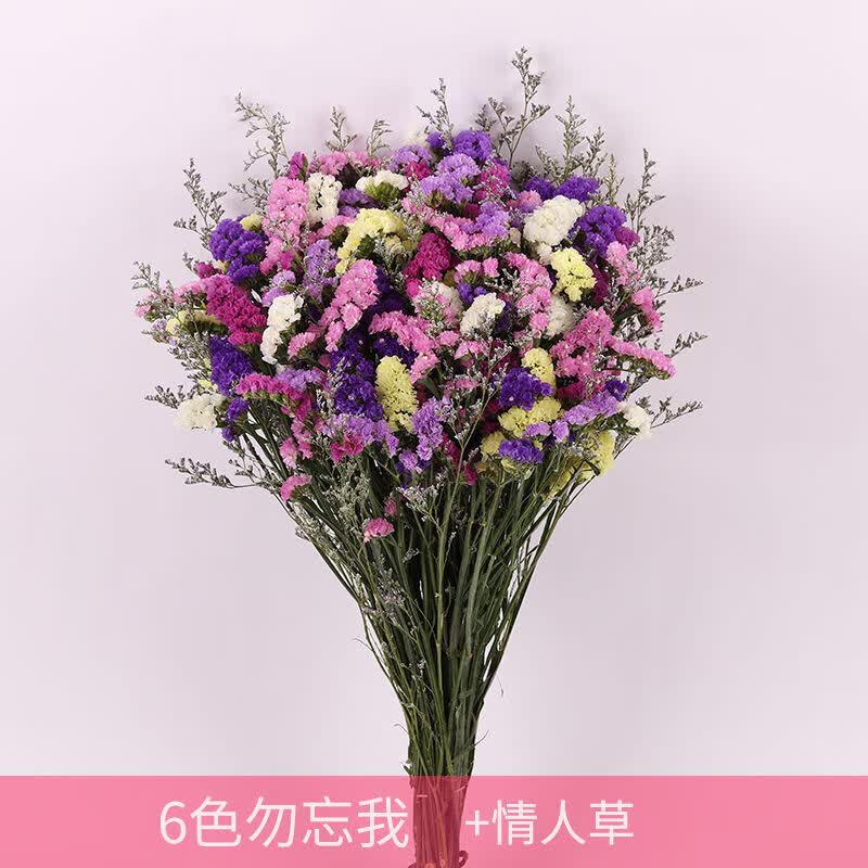 采缇（CAITI）天然勿忘我干花花束真花家庭家居室内客厅新年装饰品摆件年宵花卉 6色勿忘我+情人草(2斤)怎么看?