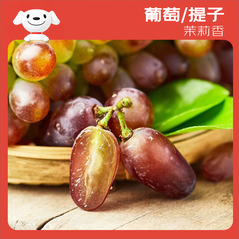 茉莉香葡萄美图5