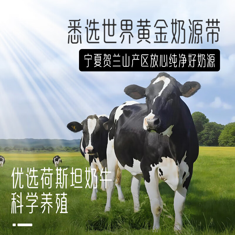 https://img14.360buyimg.com/pop/jfs/t1/286950/16/7304/107151/6825a5e0F3ed59283/85e7484b59b9aa6a.jpg
