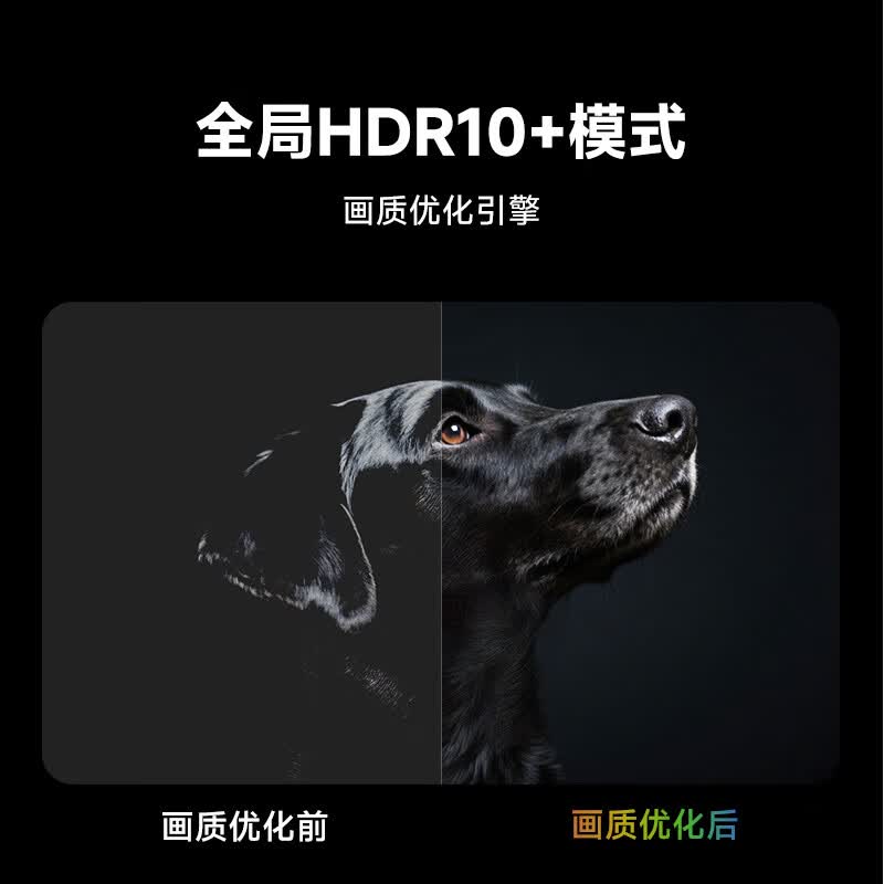 https://img14.360buyimg.com/pop/jfs/t1/287021/22/26792/46165/68a2ba28F9cc8cc4b/e1ce57c48241feab.jpg