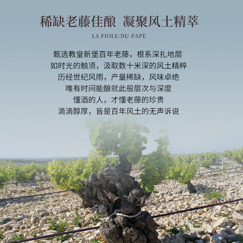 BROTTE法国歪脖子红酒特级教皇新堡产区干红葡萄酒原瓶进口【礼盒礼袋】 歪脖子教皇新堡750ml*2支