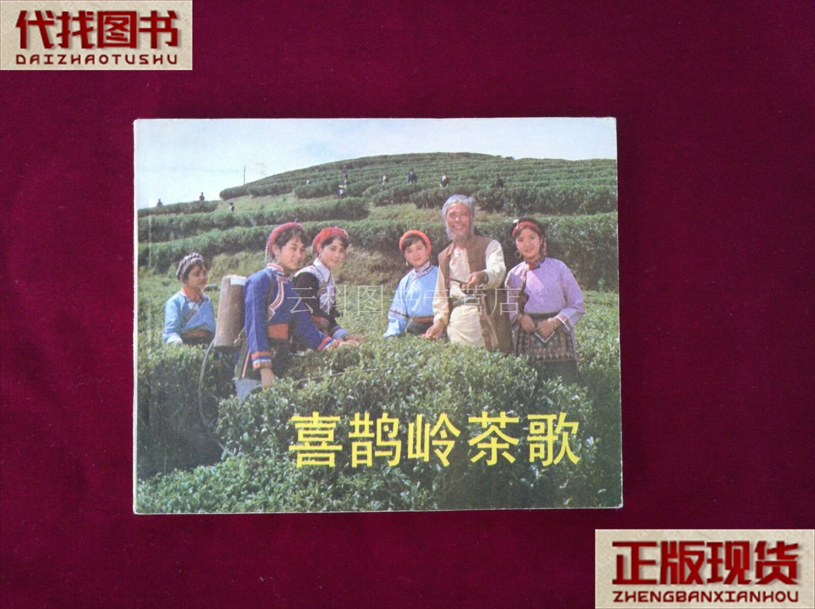 喜鹊岭茶歌 燕枫 中国电影出版社 二手书