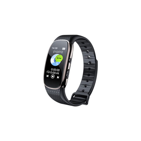 ���ڲ����������ߣ�aigo���ֱ��ֻ�ʽ¼����R6511 16Gרҵ¼����һ��¼�����彵��¼�� MP3������ ѧϰ�ɷû����ɫ 156.42Ԫ(������)