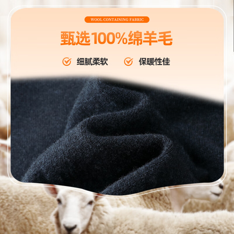 SHANSHAN杉杉纯羊毛衫男冬季新款绵羊毛加厚圆领毛衣男士休闲内搭毛衣 黑色 2XL /185