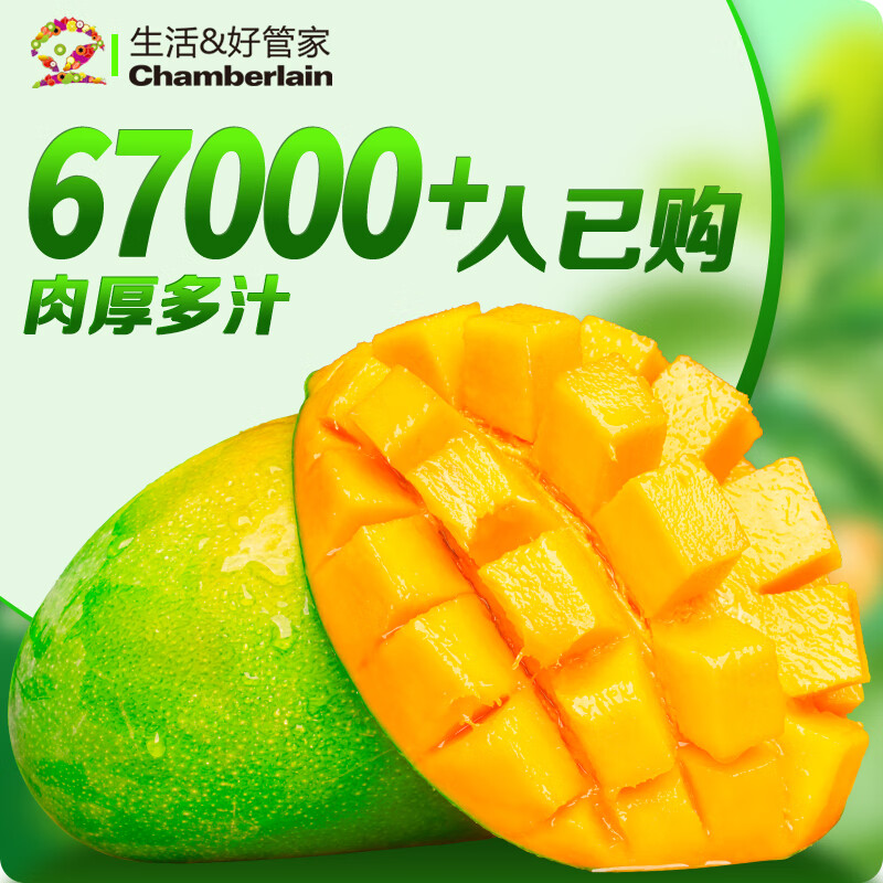 四川凯特芒大芒果