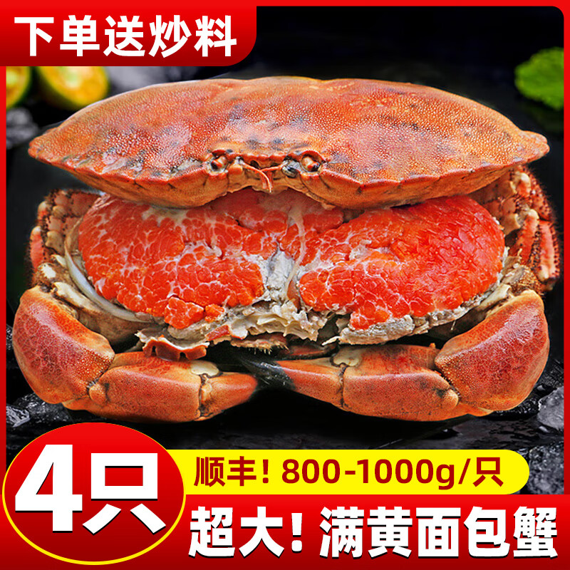 胖东来同款鲜活面包蟹新鲜熟冻特大满黄满膏熟冻蟹珍宝蟹螃蟹海鲜 600