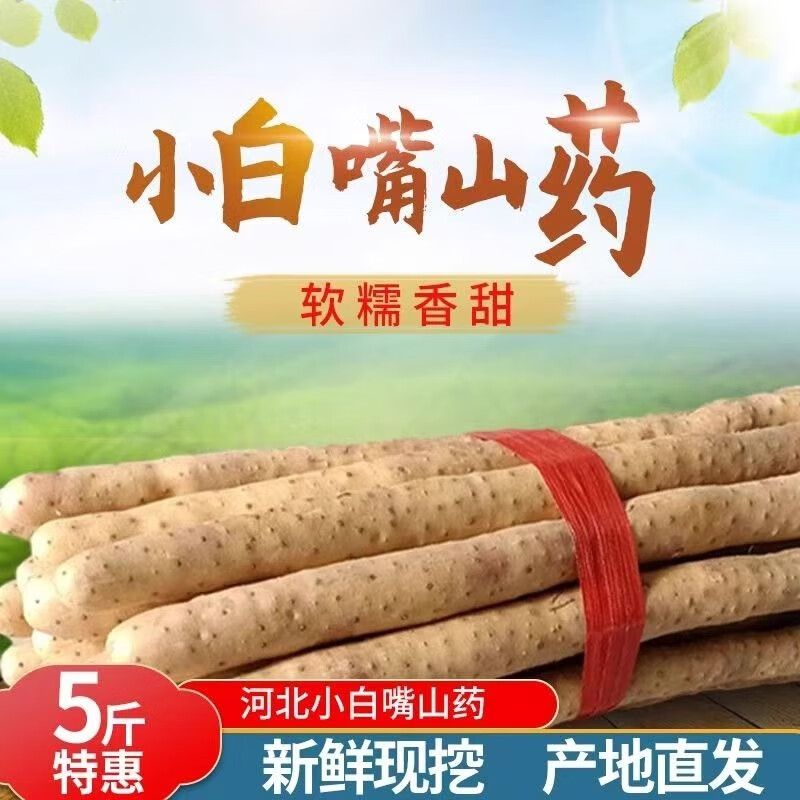 呈雪醇正宗小白嘴山药铁棍山药粉糯香甜产地直发非转基因山药宝宝辅食 【5斤】小白嘴山药