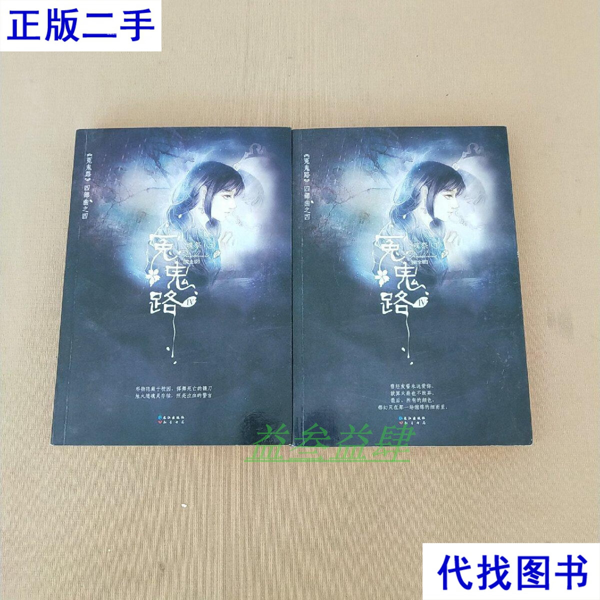 冤鬼路Ⅳ4：魂祭（上下）（完全版） Tinadannis 长江出版社二手书