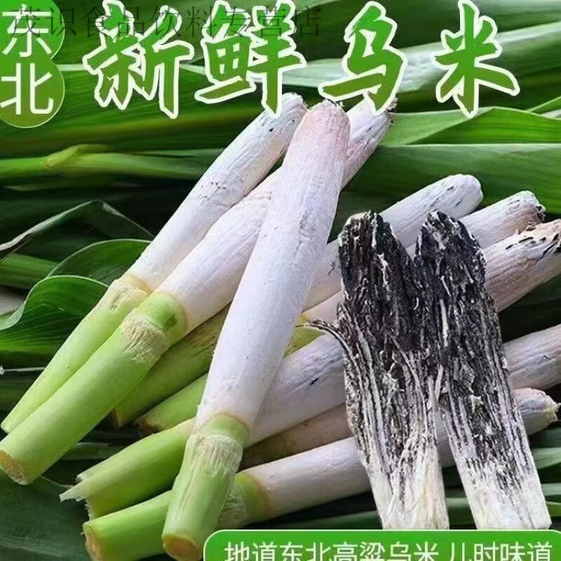 东北特产高粱乌米新鲜蔬菜头茬二茬乌咪农家自种现掰 新鲜头茬乌米20