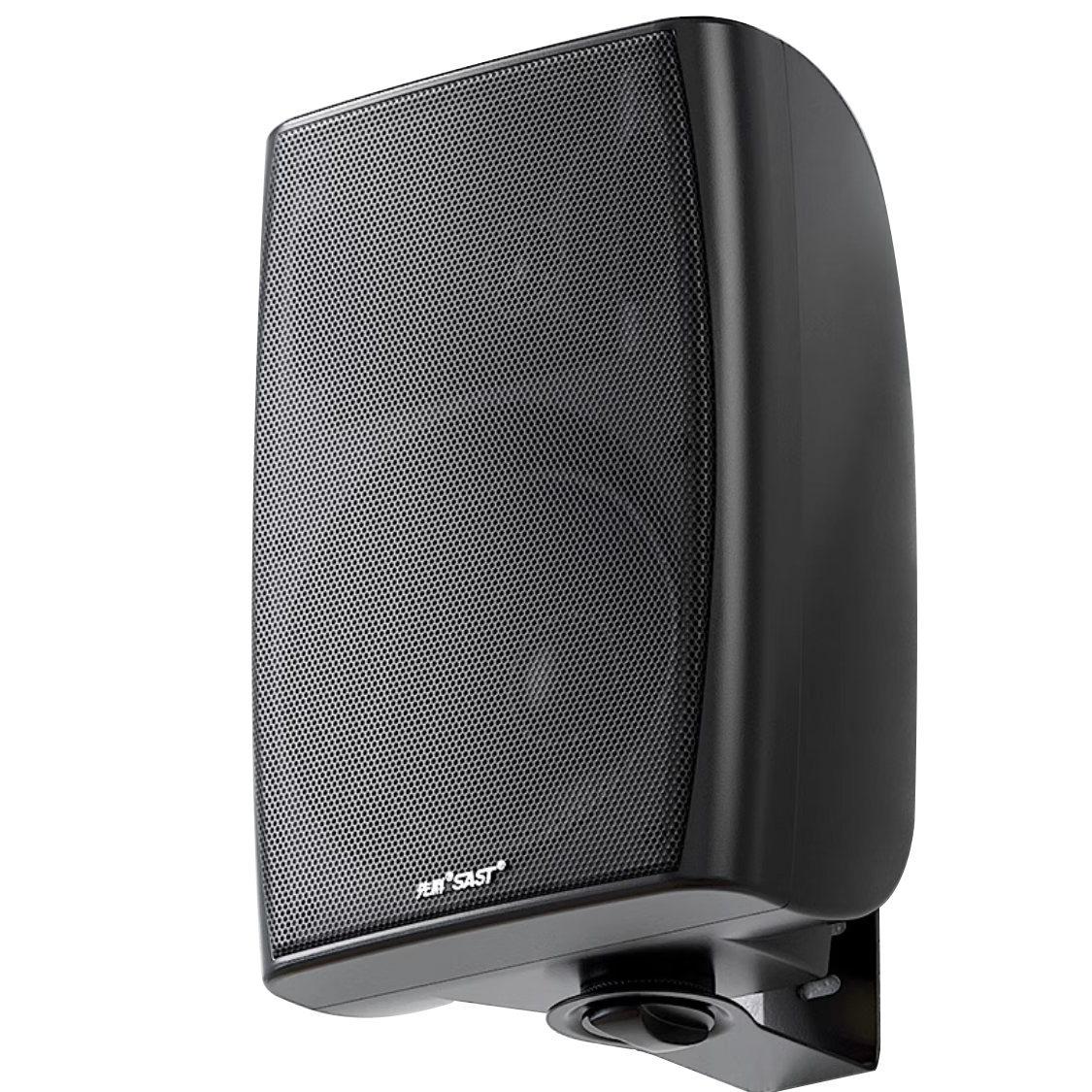先科（SAST）DW40壁掛式音響音箱喇叭 40W無源需連功放機店鋪商用工程會議室家用餐廳公共廣播背景音樂 4英寸t