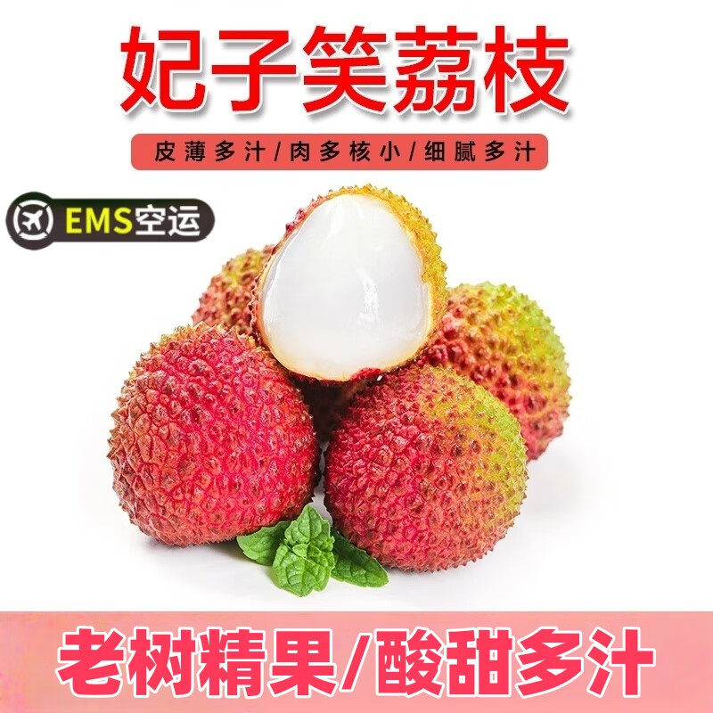 酷果汇广东海南妃子笑荔枝新鲜单果18g+整箱水果现摘现发孕妇水果 【热销款】带箱3斤-净重2.5斤+