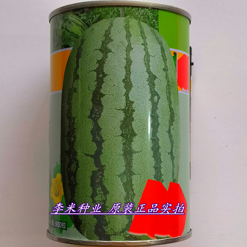 枫麦萱优质特大西瓜种籽金城5号西瓜种子抗病高产耐重茬中晚熟杂交
