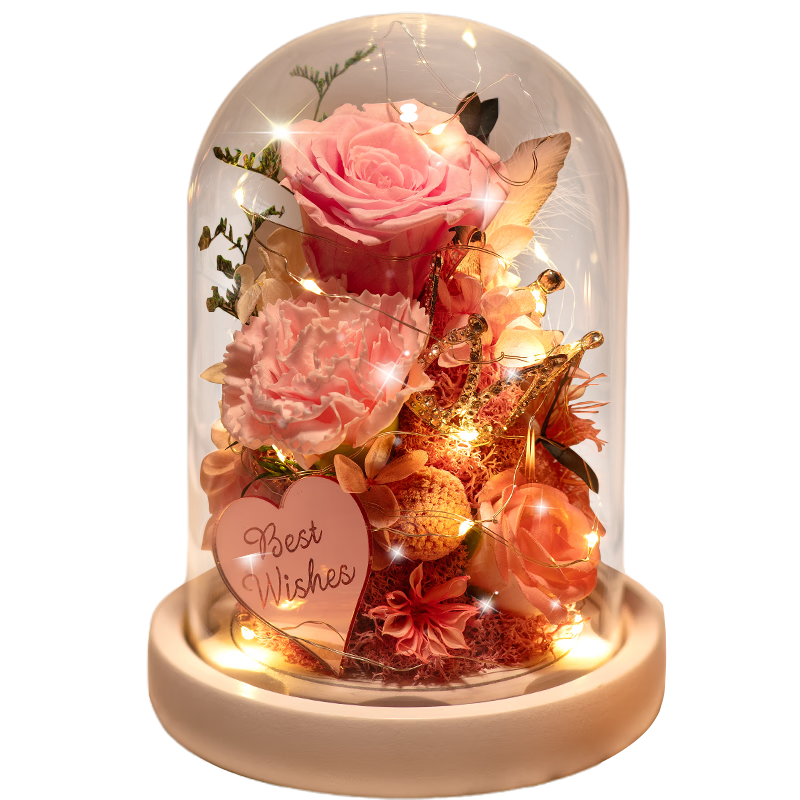 ����Ȼ��Ivenran�����˽�520��Ů������������������Ů��������õ�廨�����Ůʿ