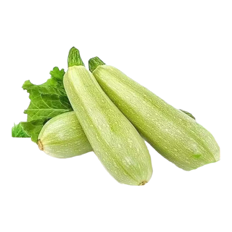 京喜加西葫芦农家自种新鲜蔬菜现摘生瓜三月小瓜番瓜倭茭瓜西葫芦 西葫芦带箱 2斤