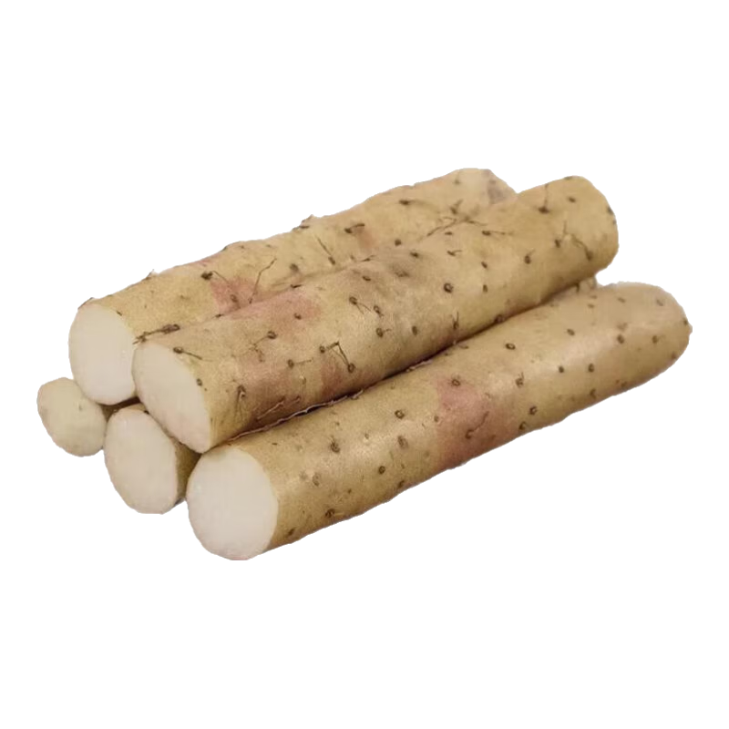粉糯正宗铁棍山药淮山药无添加小白嘴正品垆土铁棍新鲜蔬菜 铁棍山药1斤带箱 （15cm-30cm）