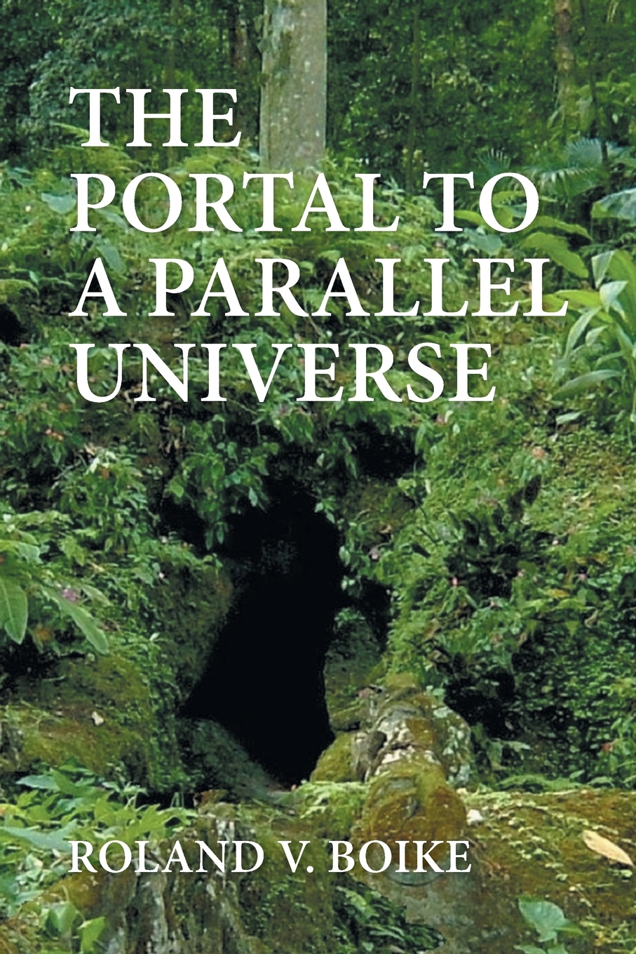 预售 按需印刷the portal to a parallel universe