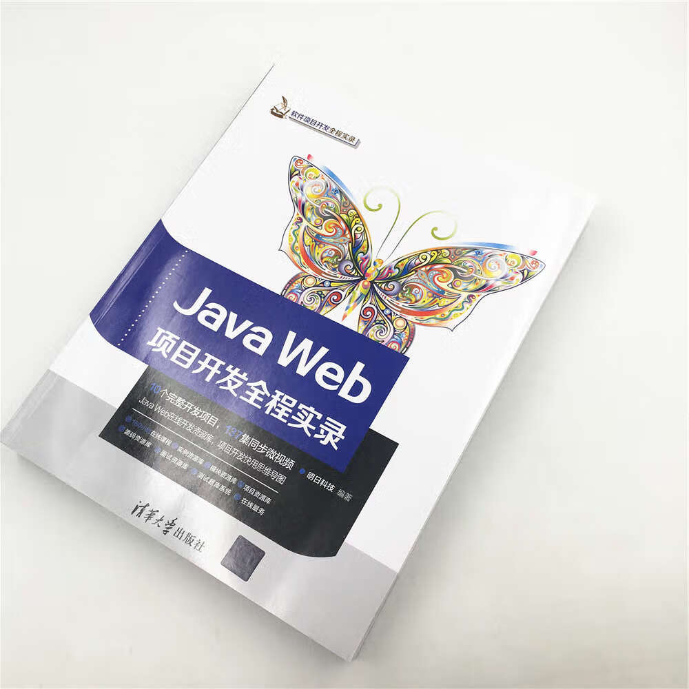 Java Web项目开发全程实录（软件项目开发全程实录）