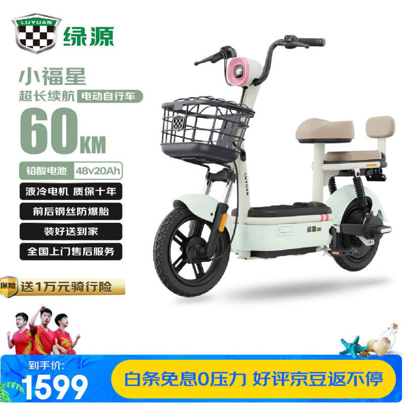 ��Դ �綯���г� 48V20AH��300W��Ǧ���ء�����75����