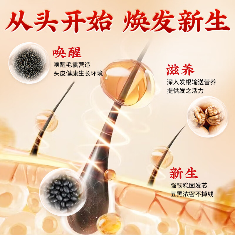 五红粉阿胶补气血女补气养血五黑粉提高免疫力睡眠养发 早红晚黑组合装（五红粉5盒+五黑粉5盒）