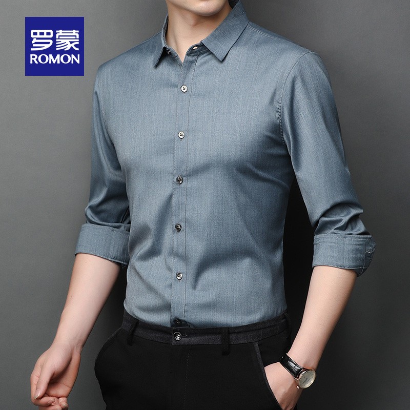 罗蒙（ROMON）长袖衬衫男春季新款职业休闲纯色衬衣中青年上衣男 蓝灰 L (175)(建议120-140斤)