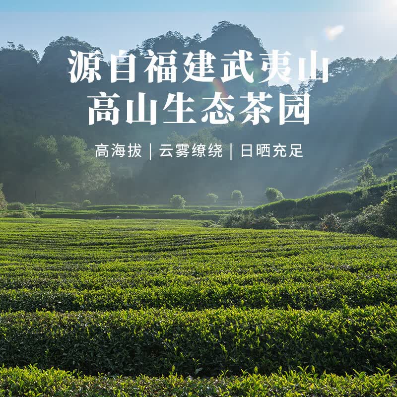 大红袍排名前十名品牌，这10款口感醇厚、香气扑鼻，茶友们的必备好茶-图片1