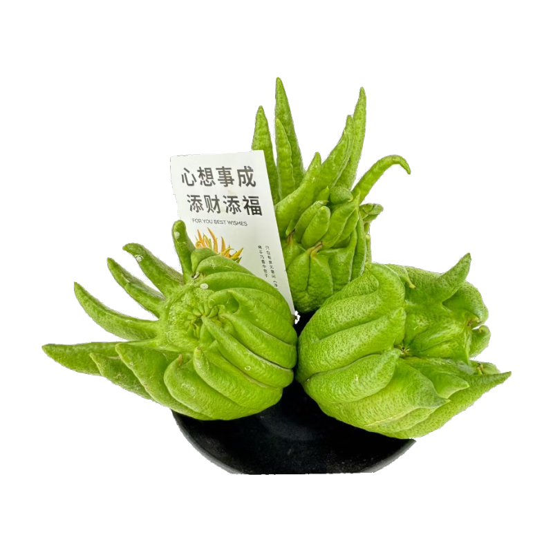 �����ʻ� ���ָ�500g-700g �� �ؿ���װ�ʹ������������Դͷֱ��