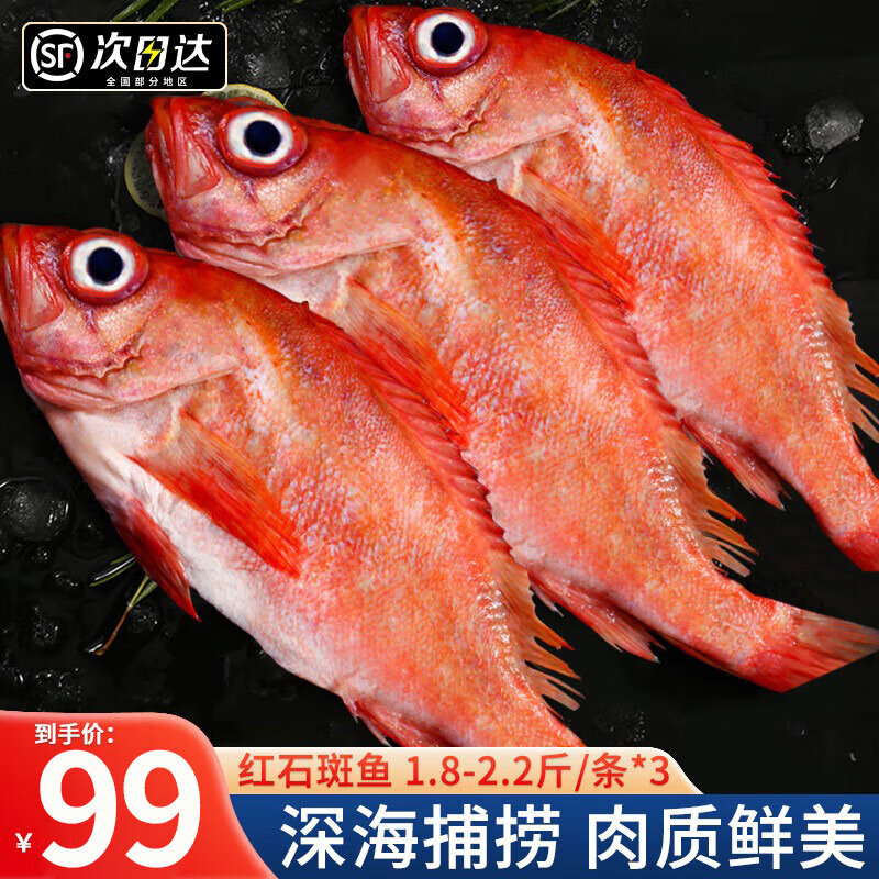 尚致红石斑鱼深海捕捞大眼鱼富贵鱼新鲜冷冻冰岛石斑鱼生鲜 超大【1.8-2.2斤/条】*3条 3条装